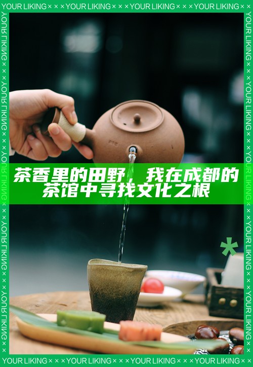 茶香里的田野，我在成都的茶馆中寻找文化之根