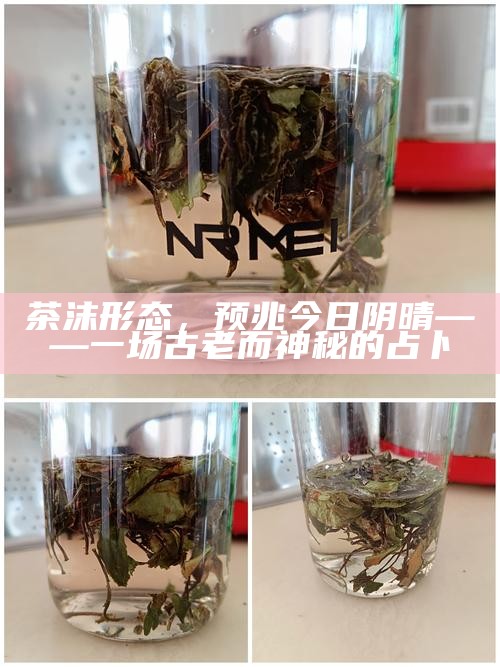 茶沫形态，预兆今日阴晴——一场古老而神秘的占卜