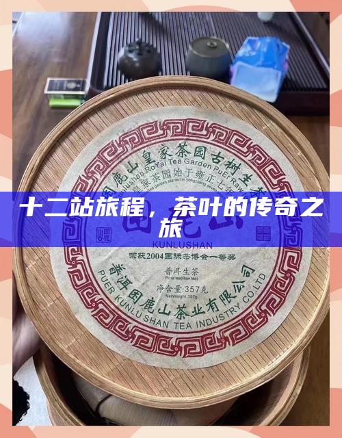 十二站旅程，茶叶的传奇之旅