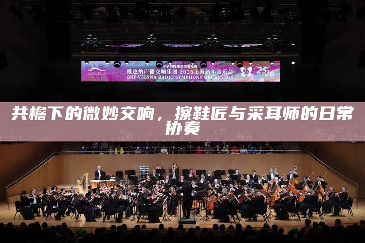 共檐下的微妙交响，擦鞋匠与采耳师的日常协奏