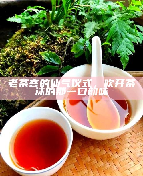 老茶客的仙气仪式，吹开茶沫的那一口韵味