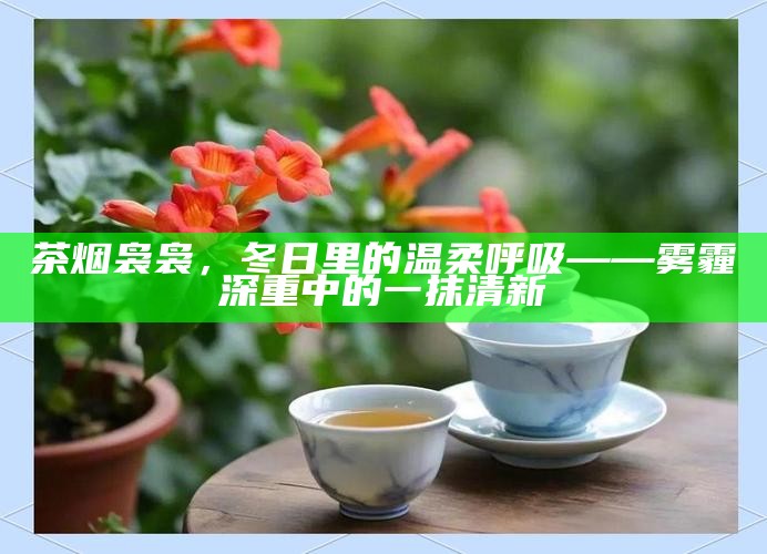 茶烟袅袅，冬日里的温柔呼吸 —— 雾霾深重中的一抹清新