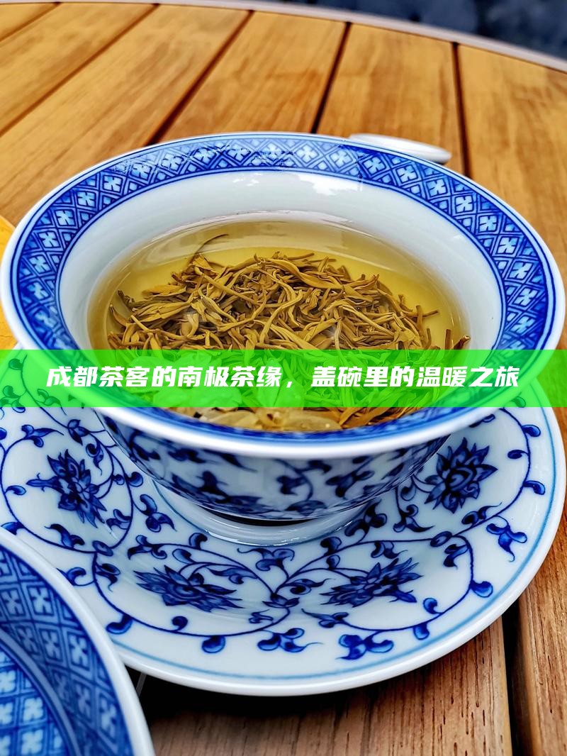 成都茶客的南极茶缘，盖碗里的温暖之旅