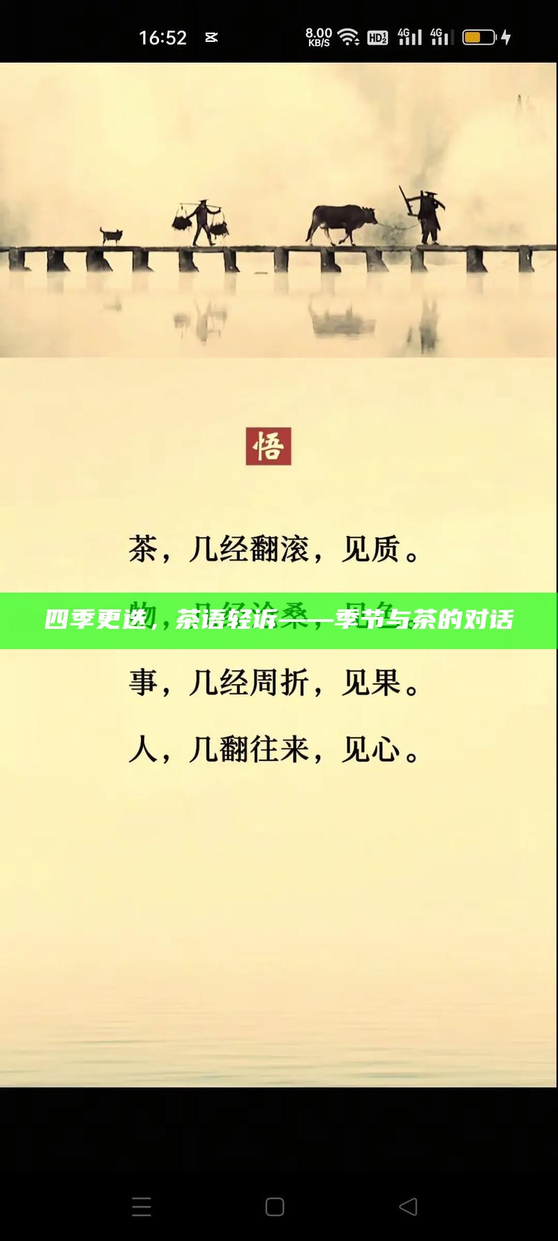 四季更迭，茶语轻诉——季节与茶的对话