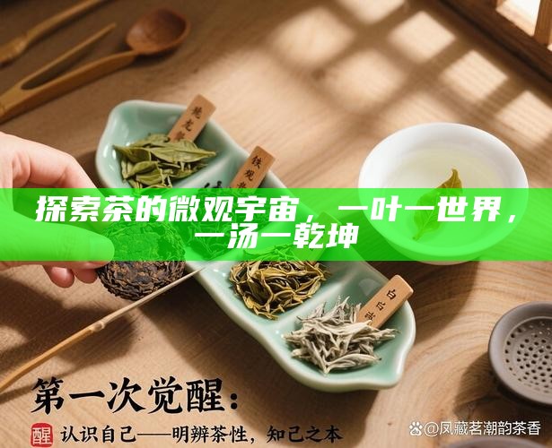 探索茶的微观宇宙，一叶一世界，一汤一乾坤